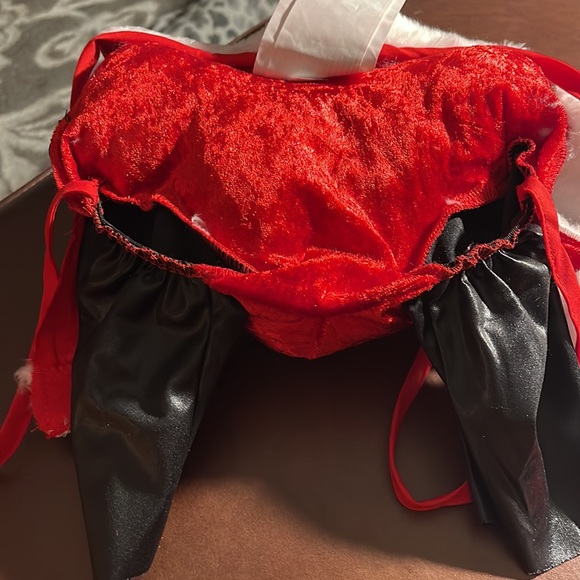 Santa Paws costume - Picture 3 of 5